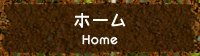 ホーム
