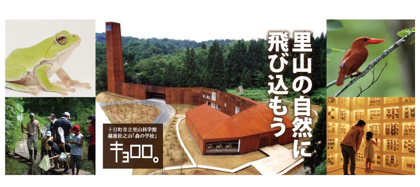 森の学校キョロロ